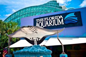 The Florida Aquarium